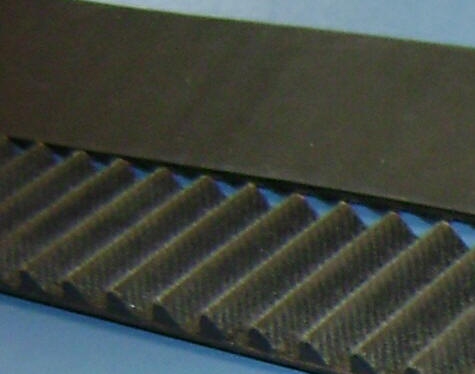 Timing Belt